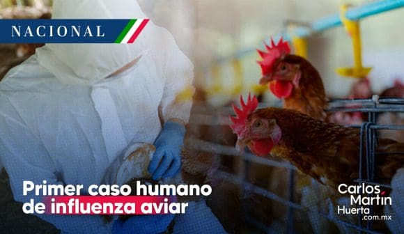 Primer caso influenza aviar México México confirma primer caso humano de influenza aviar A (H5N1)