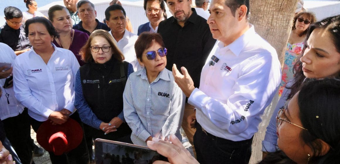 Fertipue: Proyecto innovador transformará lirio del Lago de Valsequillo en fertilizante