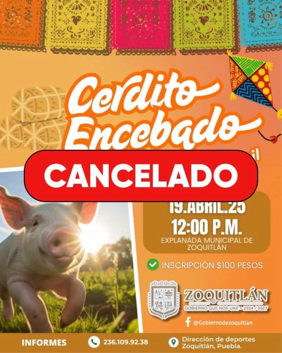WhatsApp Image 2025-04-17 at 16.45.57 Evento “Cerdito Encebado” en Zoquitlán cancelado por maltrato animal