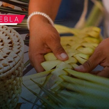 Tejido de palma: una tradición viva en Santa María Tonantzintla
