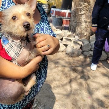 “Protegerlos es amarlos”: Continúa la jornada de vacunación antirrábica en Atlixco