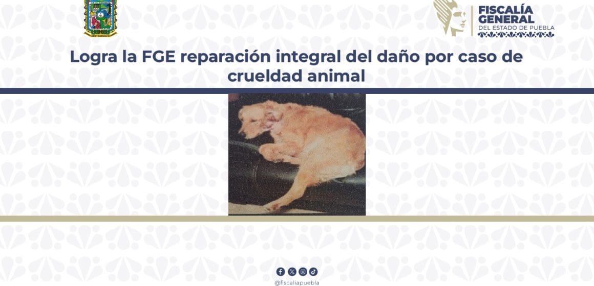 Fiscalía de Puebla logra justicia para “Canela” en caso de crueldad animal