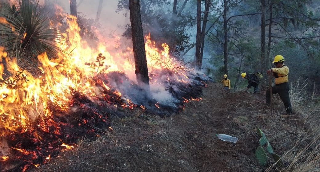 Más de 120 incendios forestales activos en México: Conafor