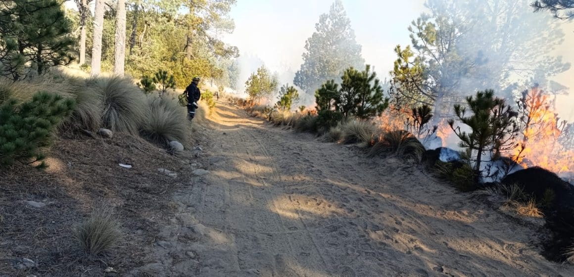 Incendio forestal en Tlachichuca extinguido al 100%