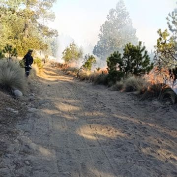 Incendio forestal en Tlachichuca extinguido al 100%