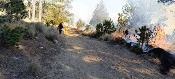 incendio Incendio forestal en Tlachichuca extinguido al 100%