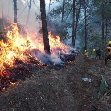 Detienen a responsables por incendios forestales en Puebla, confirma  Armenta
