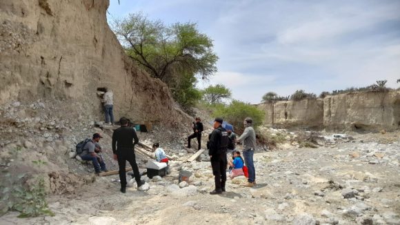 Guardia Estatal Apoya al INAH en traslado de restos fósiles de mamut en Tula