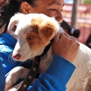 Arranca campaña nacional de vacunación antirrábica canina y felina 2025 en Cuautlancingo