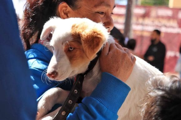 vacunación-cuautlancingo Arranca campaña nacional de vacunación antirrábica canina y felina 2025 en Cuautlancingo