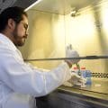 Investigación cardiovascular en México: Avances en el estudio de las células cardiacas