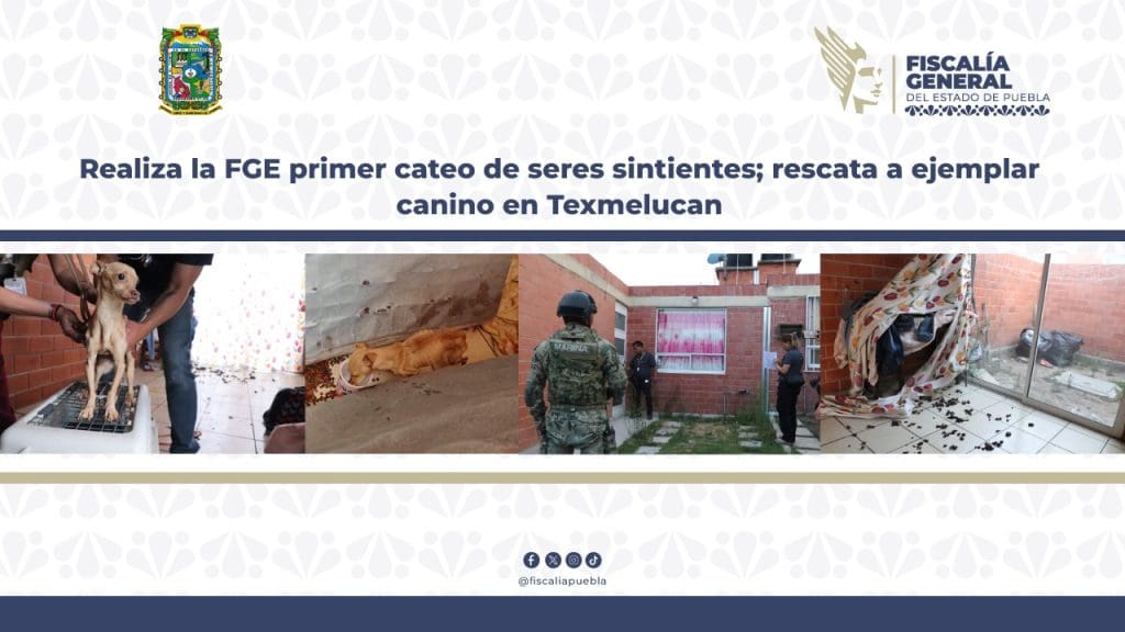Cateo y rescate perro Texmelucan