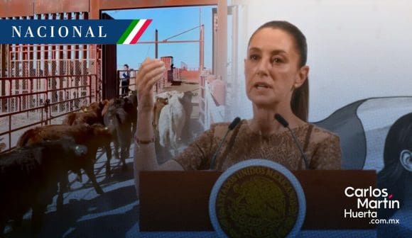 Sheinbaum calificó de injusta la medida de EE.UU. por cierre de la frontera al ganado