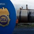 DEA revela que el robo de combustible a Pemex es la principal fuente de financiamiento de cárteles en México