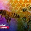 Día Mundial de las Abejas: guardianas de la vida en el planeta