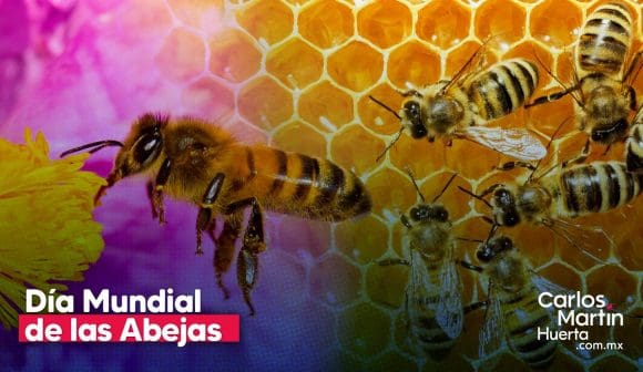 Día Mundial de las Abejas: guardianas de la vida en el planeta