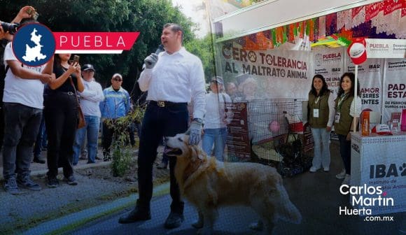 Gobierno federal y estatal impulsarán campaña de protección de animales