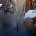 Hombre agrede con machete a perro en Tehuacán; peludo lucha por su vida