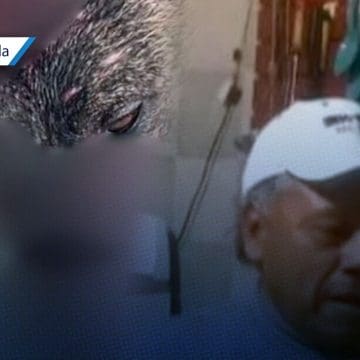 Hombre agrede con machete a perro en Tehuacán; peludo lucha por su vida