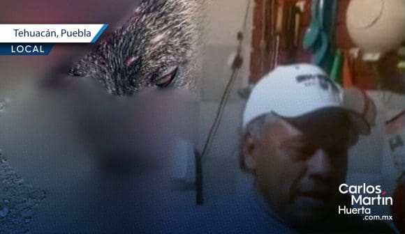 Hombre agrede con machete a perro en Tehuacán; peludo lucha por su vida