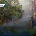 La Sierra Negra de Puebla se consume bajo un implacable incendio forestal