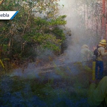 La Sierra Negra de Puebla se consume bajo un implacable incendio forestal