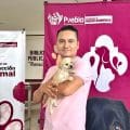 Gobierno de la Ciudad prioriza el bienestar animal con jornadas