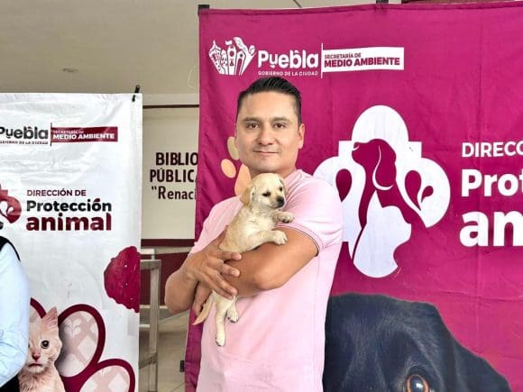 Gobierno de la Ciudad prioriza el bienestar animal con jornadas
