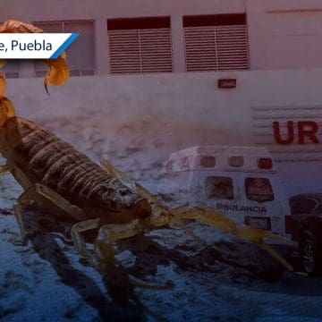Joven muere por picadura de alacrán en Tulcingo del Valle