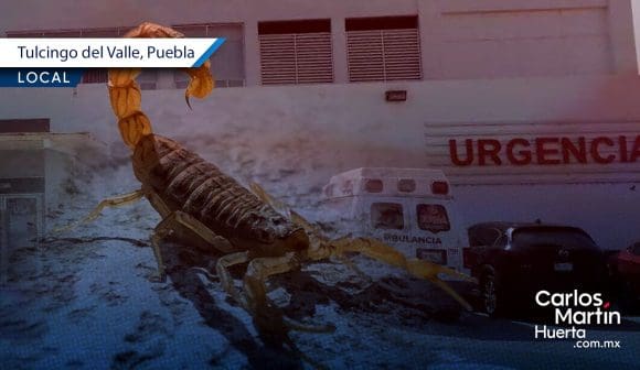 Portada Joven muere por picadura de alacrán en Tulcingo del Valle CMH Joven muere por picadura de alacrán en Tulcingo del Valle