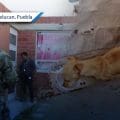 Rescatan a perrito mediante cateo en San Martín Texmelucan    