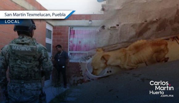 Rescatan a perrito mediante cateo en San Martín Texmelucan    