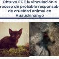 Obtuvo FGE la vinculación a proceso de probable responsable de crueldad animal en Huauchinango