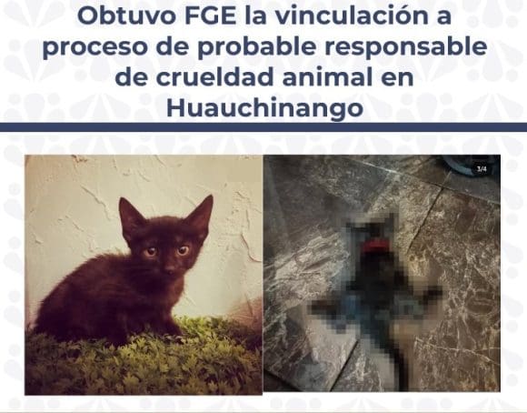 Obtuvo FGE la vinculación a proceso de probable responsable de crueldad animal en Huauchinango