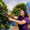 Lupita Cuautle impulsa la recuperación de espacios públicos seguros para todas y todos en San Andrés Cholula