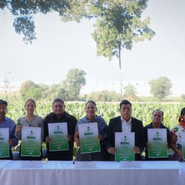 Lupita Cuautle presenta la 29ª Feria del Nopal en Tlaxcalancingo