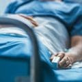 Tercer caso de miasis por gusano barrenador detectado en Chiapas