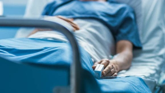 Tercer caso de miasis por gusano barrenador detectado en Chiapas
