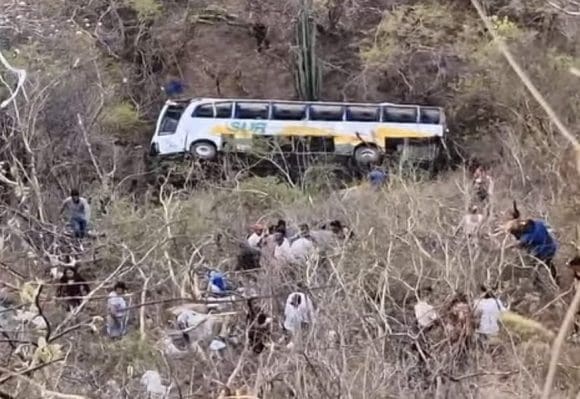 Trágico accidente: Autobús de Línea Sur cae a barranco en Tehuitzingo