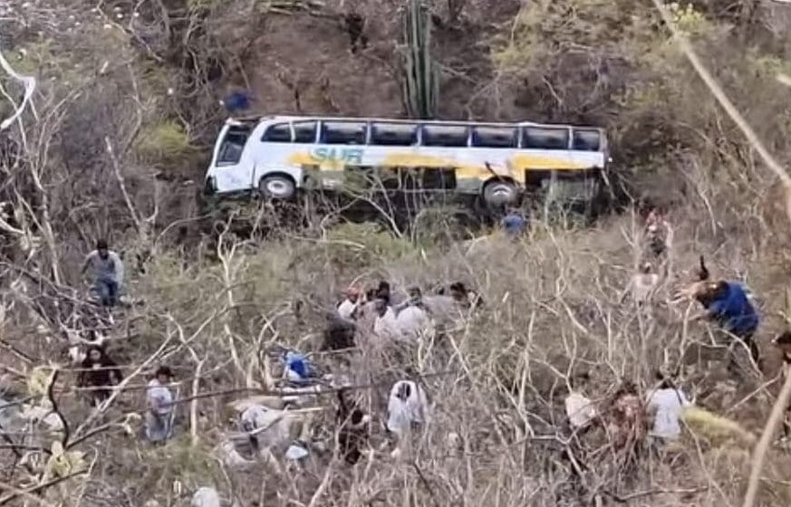 Trágico accidente: Autobús de Línea Sur cae a barranco en Tehuitzingo