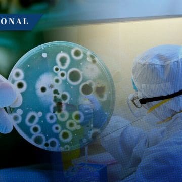 Acusan a científicos chinos por “hongo de agroterrorismo” en Estados Unidos