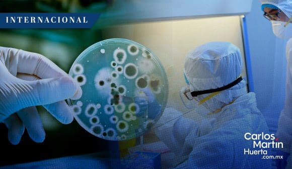 Acusan a científicos chinos por “hongo de agroterrorismo” en Estados Unidos
