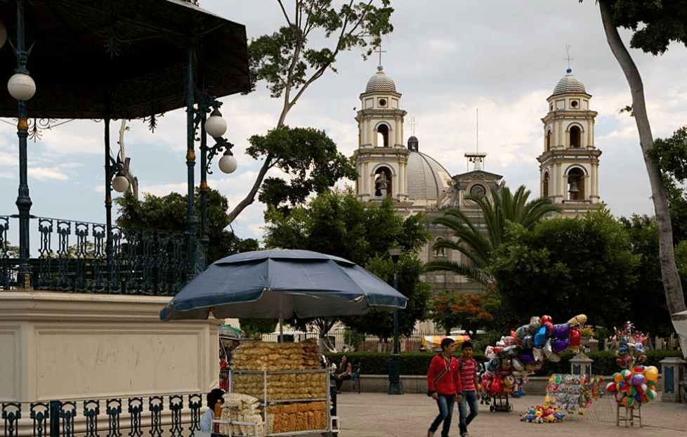 Suspenden a vendedores de alimentos en Tehuacán por irregularidades sanitarias 2 Advierten por falsos gestores de la Secretaria de Economia 3 1