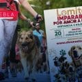 Realizarán carrera “Lomitos Imparables” en el corazón de Puebla