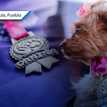 Presentan medalla y playera oficial de la 1ª Carrera Canina en San Andrés Cholula