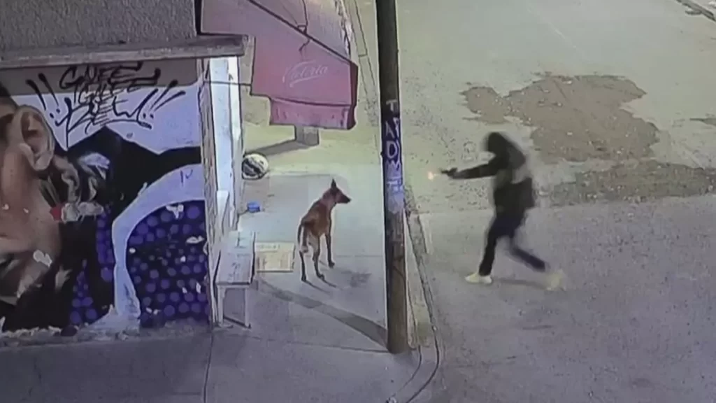 Detienen a policía de Ecatepec por disparar a perrito callejero 2 Detienen a policia de Ecatepec por disparar a perrito callejero 2