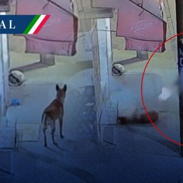 Detienen a policía de Ecatepec por disparar a perrito callejero