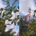 Cinco voladores de Papantla caen desde más de 10 metros durante ritual en Veracruz