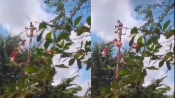 Cinco voladores de Papantla caen desde más de 10 metros durante ritual en Veracruz