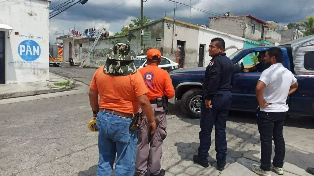 Enjambre de abejas ataca en Atlixco; 20 personas resultan con picaduras 1 Enjambre de abejas ataca en Atlixco; 20 personas resultan con picaduras